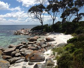 Lake Eckersley Campground - Kingaroy Accommodation 2