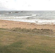 Penguin Caravan Park - Kingaroy Accommodation