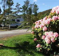Zeehan Bush Camp  and Caravan Park - Kingaroy Accommodation