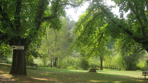 Jubilee Lake Holiday Park - Kingaroy Accommodation 5