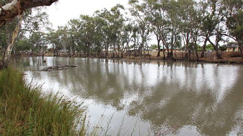 Riverbank Caravan Park - Kingaroy Accommodation 0