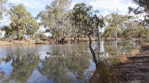 Riverbank Caravan Park - Kingaroy Accommodation 5