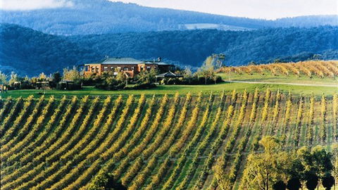 Yering Gorge Cottages - Kingaroy Accommodation 1