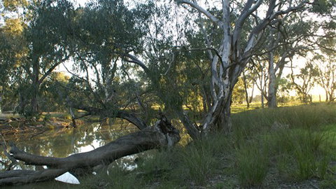Numurkah Caravan Park - Kingaroy Accommodation 5