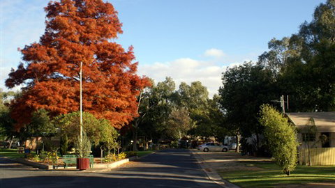 Numurkah Caravan Park - Kingaroy Accommodation 6
