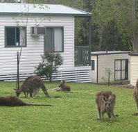 Halls Gap Caravan Park - Kingaroy Accommodation