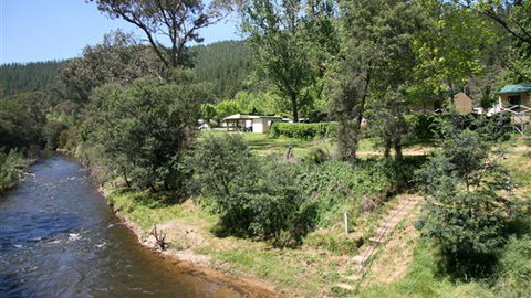 Porepunkah Pines Holiday Park - Kingaroy Accommodation 3