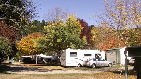 Porepunkah Pines Holiday Park - Kingaroy Accommodation 6