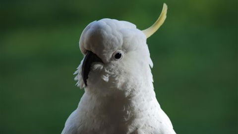 Around About Lorne Studios Or B&B - Kingaroy Accommodation 0