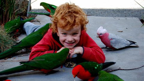 Around About Lorne Studios Or B&B - Kingaroy Accommodation 3