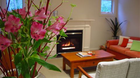 Around About Lorne Studios Or B&B - Kingaroy Accommodation 4