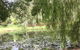 Chestnut Springs - thumb 7