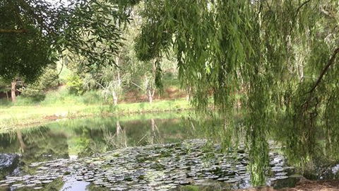 Chestnut Springs - Kingaroy Accommodation 7