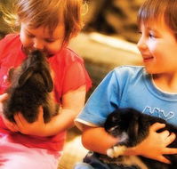 Macka's Farm - Kingaroy Accommodation