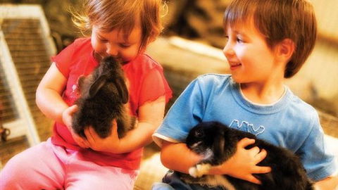 Macka's Farm - Kingaroy Accommodation 0