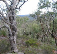The Glen - Kingaroy Accommodation