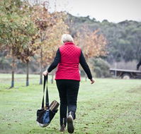 Black Cat Cottage - Kingaroy Accommodation