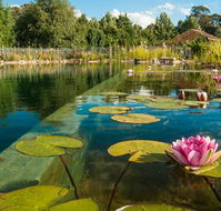 Planetrees Estate  - Kingaroy Accommodation