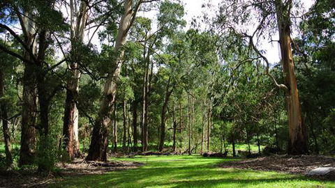 Wildwood Retreat - Kingaroy Accommodation 0