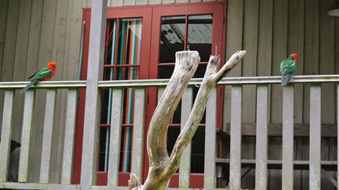 Wildwood Retreat - Kingaroy Accommodation 4