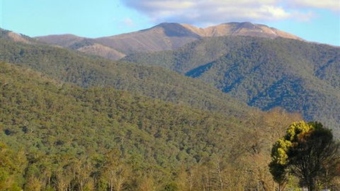 Mountain View Retreat - Kingaroy Accommodation 4