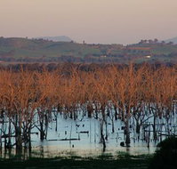 Salisbury - Kingaroy Accommodation