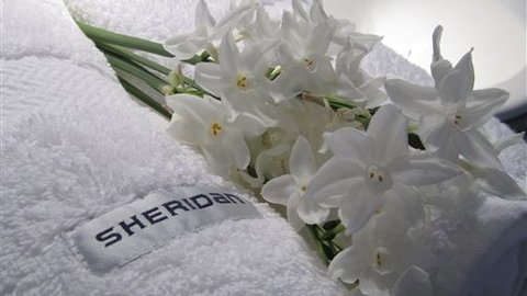 Maydays - Kingaroy Accommodation 1