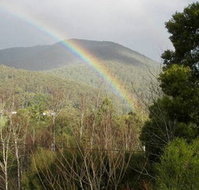 Wattletree Cottage - Kingaroy Accommodation