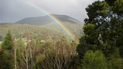 Wattletree Cottage - Kingaroy Accommodation 0