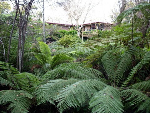Adelaide Hills Bed & Breakfast Accommodation - Kingaroy Accommodation 3