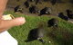 Alexander Lakeside Bed & Breakfast - thumb 2