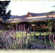 Bluebush Estate - Kingaroy Accommodation