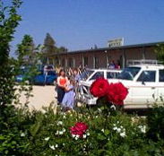 Boerbuck Country Motel  Host Farm - Kingaroy Accommodation