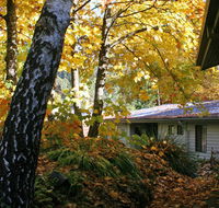 Bogong Village - Kingaroy Accommodation