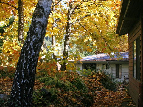 Bogong Village - Kingaroy Accommodation 0
