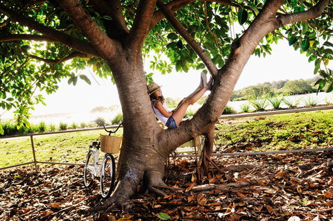 Calypso Holiday Park Yamba - Kingaroy Accommodation 1