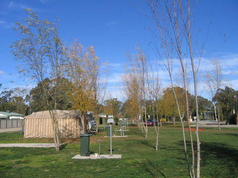Cobram Oasis Tourist Park - Kingaroy Accommodation 1