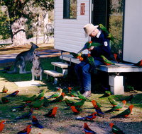 Inland Waters Holiday Parks Burrinjuck - Kingaroy Accommodation