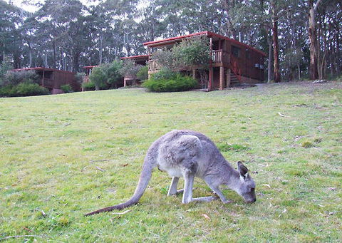 Jenolan Caves Cottages - Kingaroy Accommodation 0