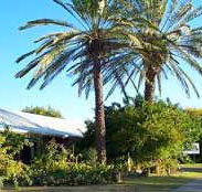 Merino Motor Inn - Kingaroy Accommodation