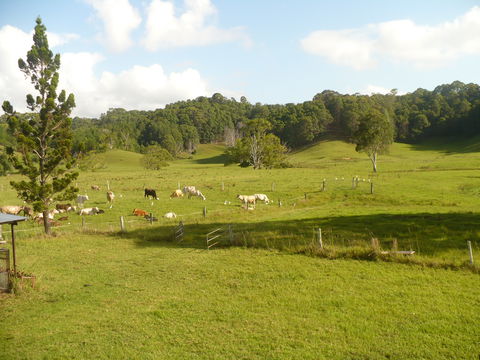 Mooyabil Farm Holidays - Kingaroy Accommodation 6