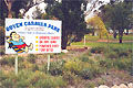 Ouyen Caravan Park - Kingaroy Accommodation 0