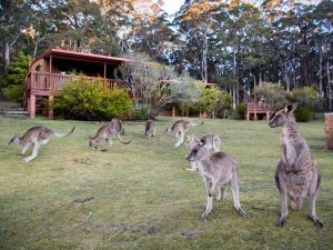 Jenolan Caves Cottages - Kingaroy Accommodation 1