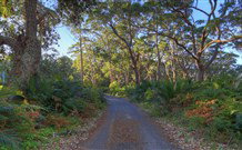 BIG4 South Durras Holiday Park - Kingaroy Accommodation 4