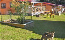 Durras Lake North Holiday Park - Kingaroy Accommodation 1