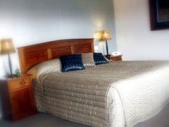 Saltbush Motor Inn - Kingaroy Accommodation 4