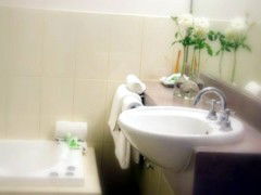 Saltbush Motor Inn - Kingaroy Accommodation 5