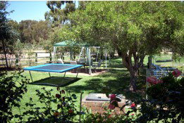 Tarcutta Halfway Motor Inn/Horse Hotel - Kingaroy Accommodation 5