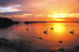 Two Shores Holiday Village - Kingaroy Accommodation 4