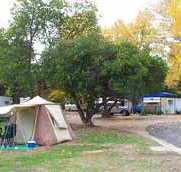 Wedderburn Pioneer Caravan Park - Kingaroy Accommodation